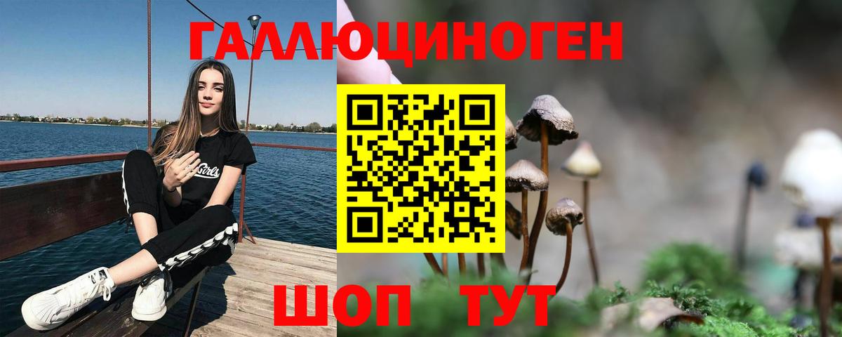 Мирный  Псилоцибиновые грибы Psilocybe  Псилоцибиновые грибы Psilocybe  Вход с VPN 